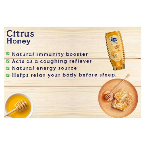 Hero Delicia Citrus Honey Squeeze - 450 gm