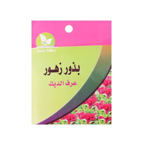 Green Valley Celosia Seeds - 5 gram