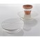 Specialist Crafts  Banding Wheel 200mm diameter