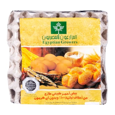 المزارعون المصريون بيض أحمر - 30 بيضة