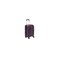 Delsey Ordener Expandable Hard Trolley 55cm Purple