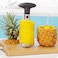 Generic Corers Queentime Pineapple Peeler Stainless Steel Fruit Cutter Multifunction Kitchen Tool Vegetable Tools