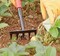 Trapp Brazil Small Garden Steel Mini Rake Digging Tool With Ergonomic Handle Rake Cultivator Garden Tool (FJ 1006)