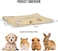 Pet blanket with reversible Sherpa fleece blanket, Plush pet blanket for Cats, Hamster, Guinea pigs, Rabbits, and Small-sized pets, Soft and comfortable warm blanket 50 cm (Yellow)