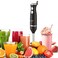 Saachi NL-CH-4265-BK Hand Blender 200.0 W