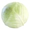 Cabbage White Whole