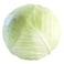 Cabbage White Whole 1Pc