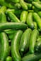 Cucumber