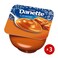 DANETTE PUDDING CARAMEL 100G*3H
