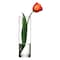 Botanica Pasabahce Flora Glass vase 1 Piece