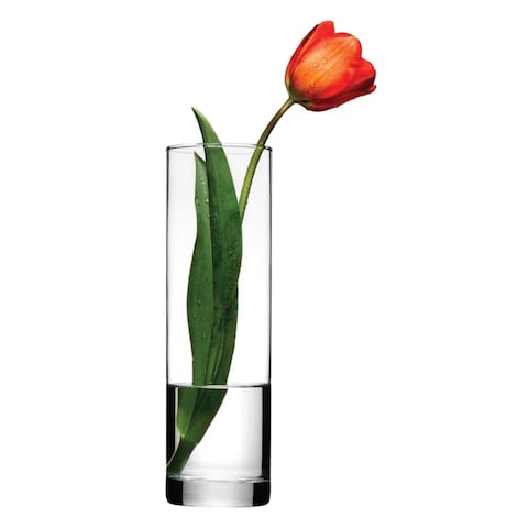 Botanica Pasabahce Flora Glass vase 1 Piece