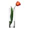 Botanica Pasabahce Flora Glass vase 1 Piece