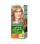Garnier Color Naturals Cream Hair Dye, Deep Ashy Light Blonde - 8.11