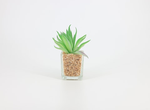 Artificial succulent bonsai-Model 05