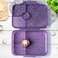 Essen - Tritan Bento Lunch Box for Kids Girls - Purple Butterfly