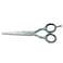 PRE STYLE ERGO HAIR SCISSORS , 5.5 INCH(ES)