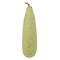 Pumpkin Green Dudhi 2.2Kg