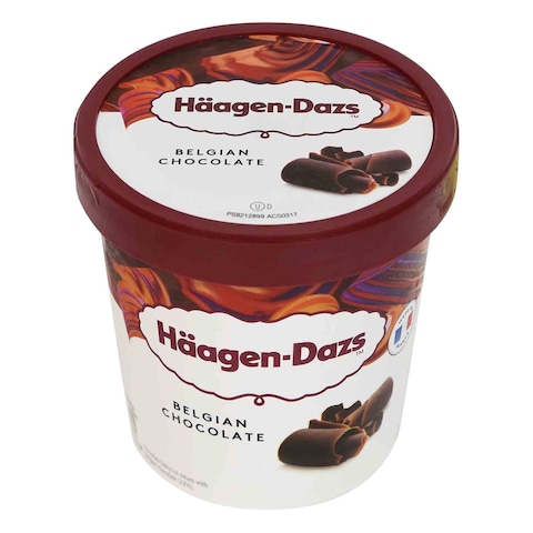 Haagen Dazs Belgian Chocolate Ice Cream 460ml