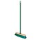 Broom With Handle