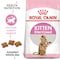 Feline Health Nutrition Kitten Sterilised 2 KG