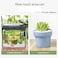 Vsell24 10Kg White Decorative Pebbles Natural River Rock Pebbles For Plants, Home DIY Decor,Aquarium Gravel,Vase Fillers,Fairy Garden,Landscaping Outdoor Stones 3-5mm