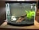 Vsell24 Super Naturals Black Sand Aquarium Substrate For Fish Tank Black Plant Soil For Pot Decorations 2-4mm 2Kg