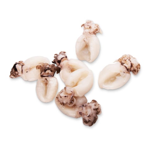 Squid Egg