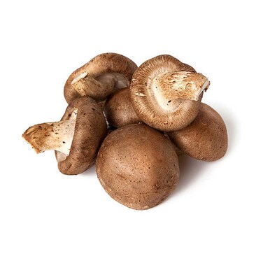 Whole Mushroom Shiitake