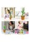Electric Dancing Cactus Plant Stuffed Toy