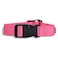 Dog Collar Nylon Pink  24-35CM