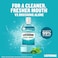 Listerine Cool Mint Mouthwash, Freshens Breath, Gum Protection 500ml
