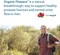 Garden Of Life Dr. Formulated Probiotics Prostate+, Acidophilus And Probiotic Supports Healthy Prostate And Digestive Balance, Gluten, Dairy, And Soy-Free, 60 Vegetarian Capsules