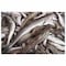 Macarona Fish Defrosted