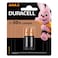 Duracell Basic Batteries AAA (2 pieces)