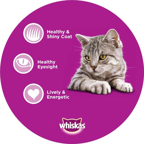 Whiskas Chicken Dry Cat Food Adult 1+ years 480g