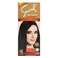 Samsol Hair Color No Ammonia 44 Natural Black 50 ml