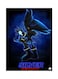 Video Game Sonic Metal Plate Poster Multicolour 15x20centimeter