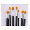 12 Painting Brush