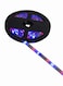 Naz Decorative Led Light String With Remote Control Multicolour
