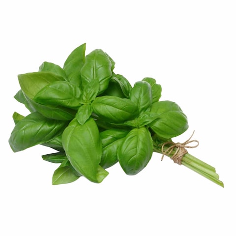 Basil Bunch