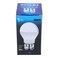 Sky Led Eco Bulb B22 240 V