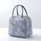 AiLiFE Cooler Lunch Box Bag foldable thermal waterproof lunch bag with zipper and handles Insulated Canvas 20x21x12cm for women Girls Ladies Kids Children For School work Office &amp; Ourdoor,Sport