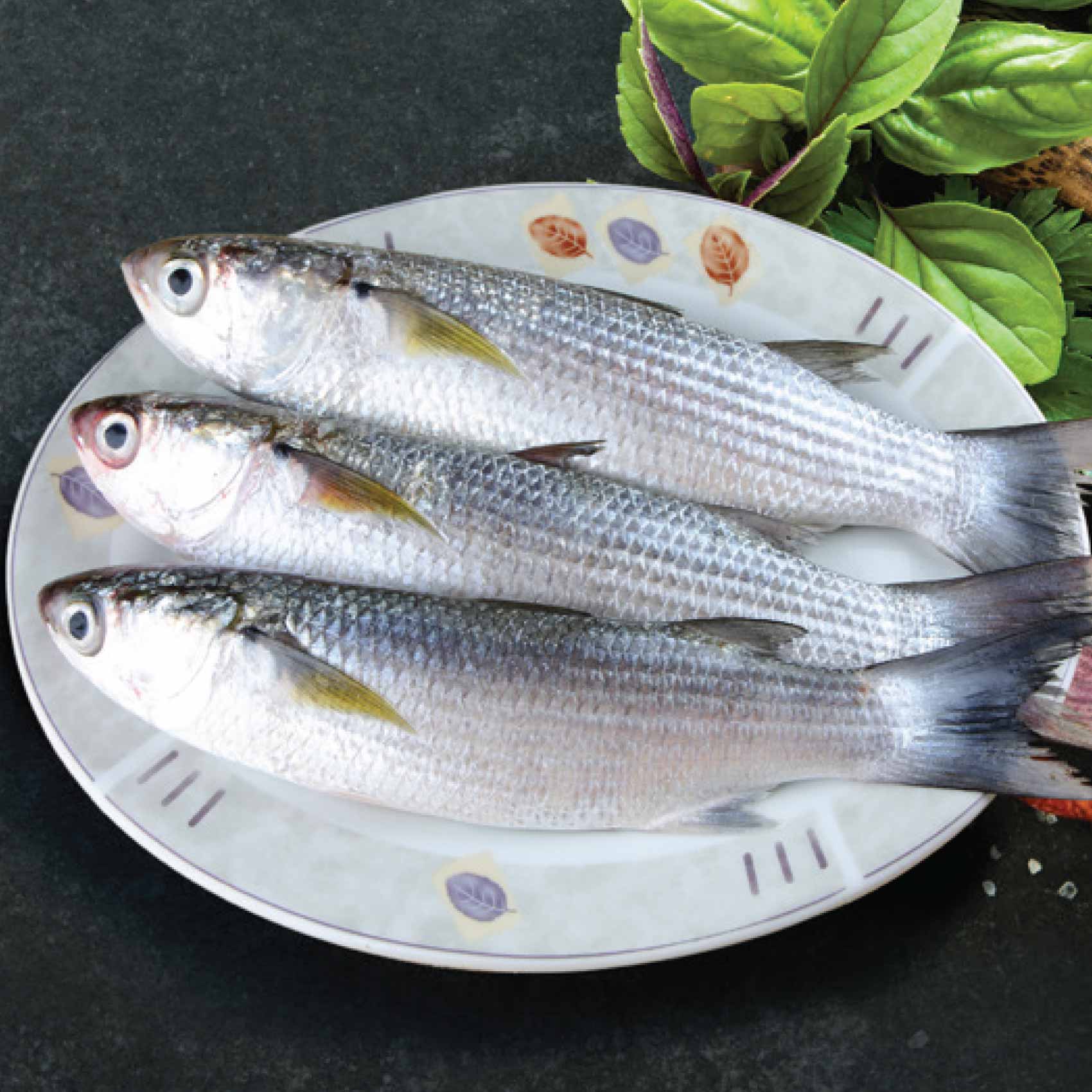 Buy Fresh Small Buri Fish Local Online | Carrefour KSA