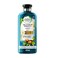 Herbal Essences Bio:Renew Argan Oil of Morocco Conditioner 400ml