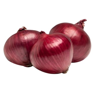Red Indian Onion