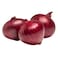 Red Indian Onion