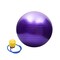 Livepro Exercise Ball With Footpump - 55cm - Purple