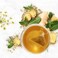 Lipton After Meal Herbal Infusion Ginger Fennel And Peppermint Tea 20 Tea Bags