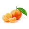 Imported Tangerine