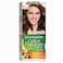 Garnier Color Naturals 5.3 Light Golden Brown